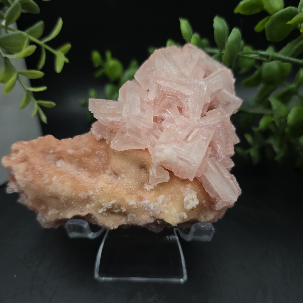 - Halite on Trona Ca